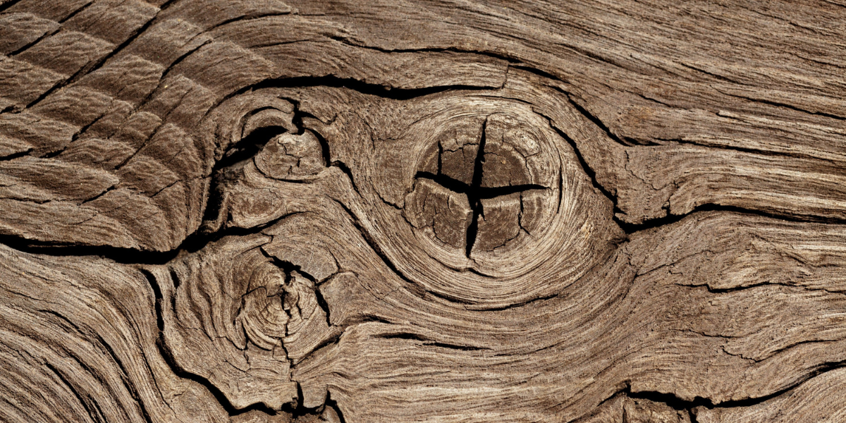 Natural Bent