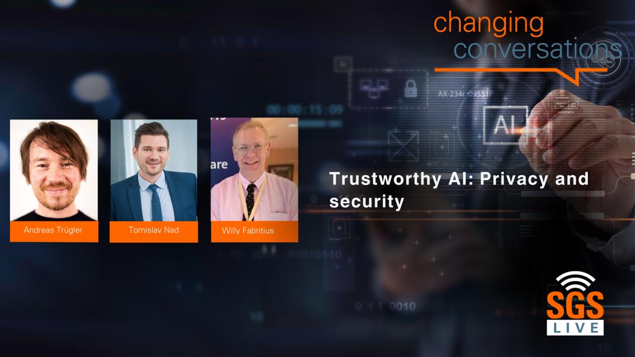 Trustworthy AI: Privacy and security