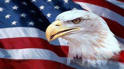 Veterans Day 2024